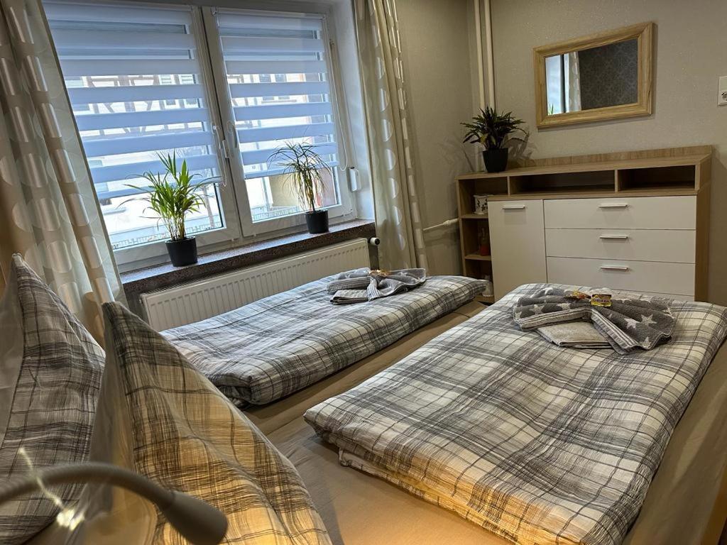 Christels Ferienwohnung 2 In Thale Mit Ueberdachter Terrasse, Kueche Mit Tv & Geschirrspueler 외부 사진