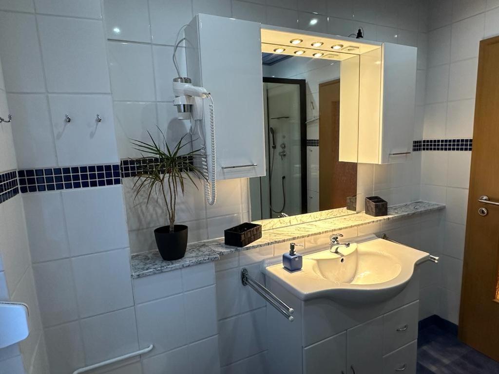 Christels Ferienwohnung 2 In Thale Mit Ueberdachter Terrasse, Kueche Mit Tv & Geschirrspueler 외부 사진